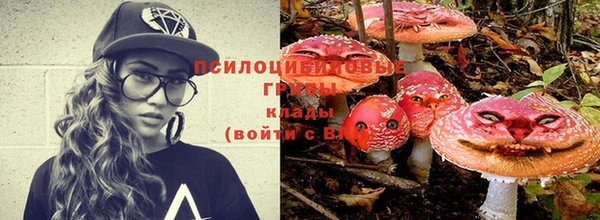 круглые Алзамай